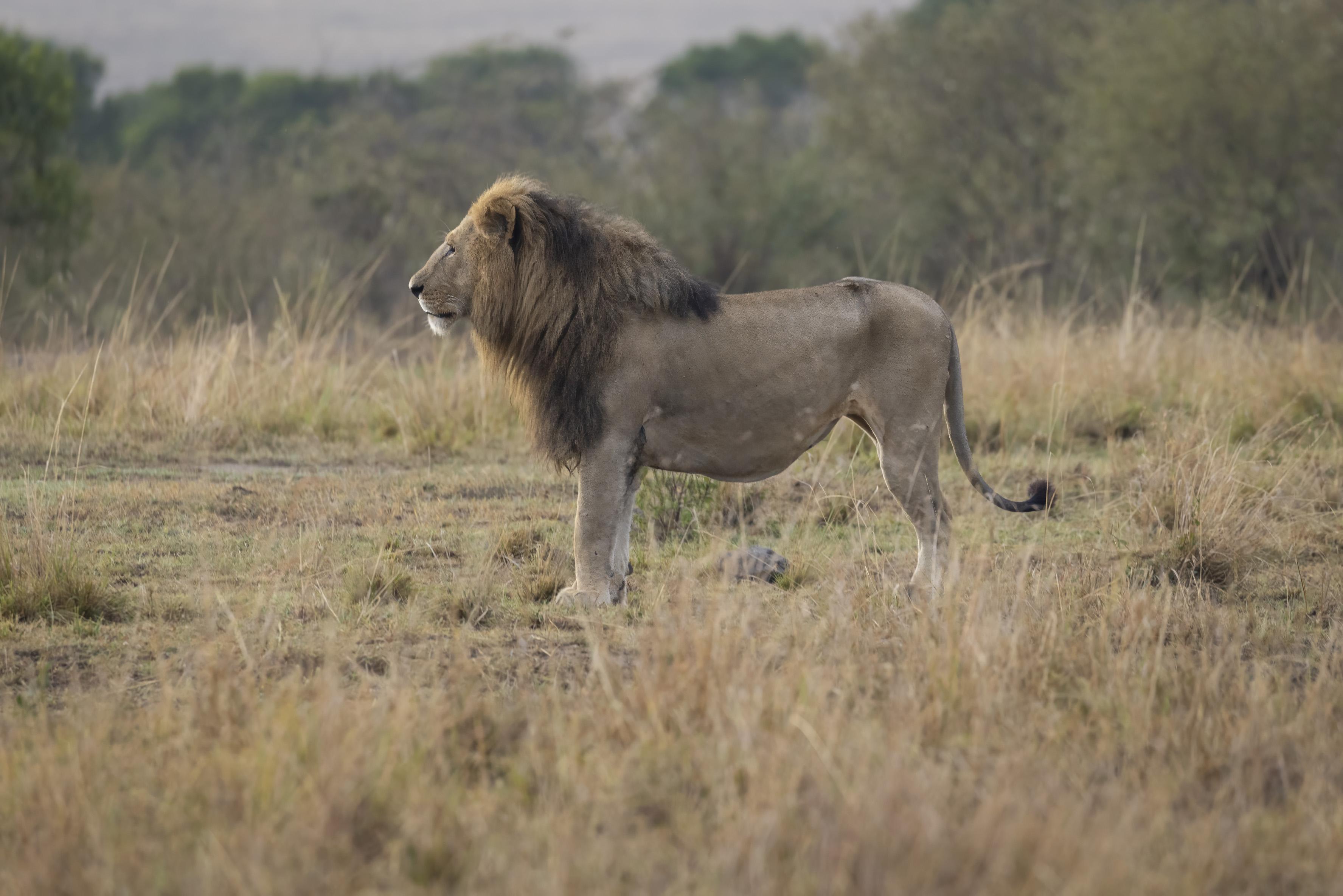 November 13, 2022-065905-Edit-Edit.jpg